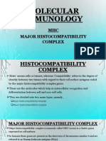 MHC (Major Histocompatibility Complex)
