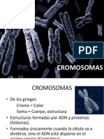 Cromosomas, Ciclo Celular, Mitosis, Meiosis