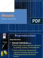 FFT1073-2 Meiosis 2017.ppsx