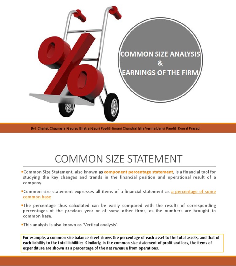 common-size-statement-analysis-pdf