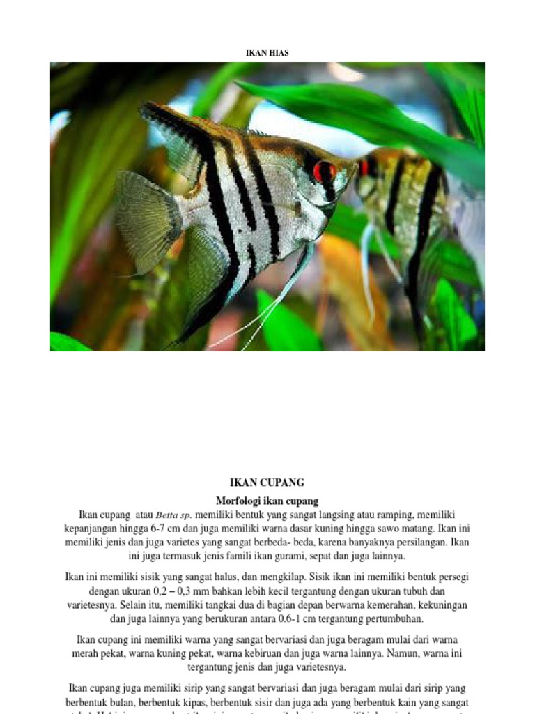 Ikan Hias Termahal Di Indonesia Beserta Nama Latinnya