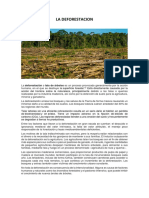 LA DEFORESTACION.docx