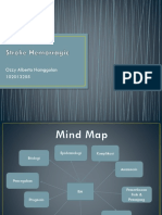 30107_Stroke Hemorragic.pptx