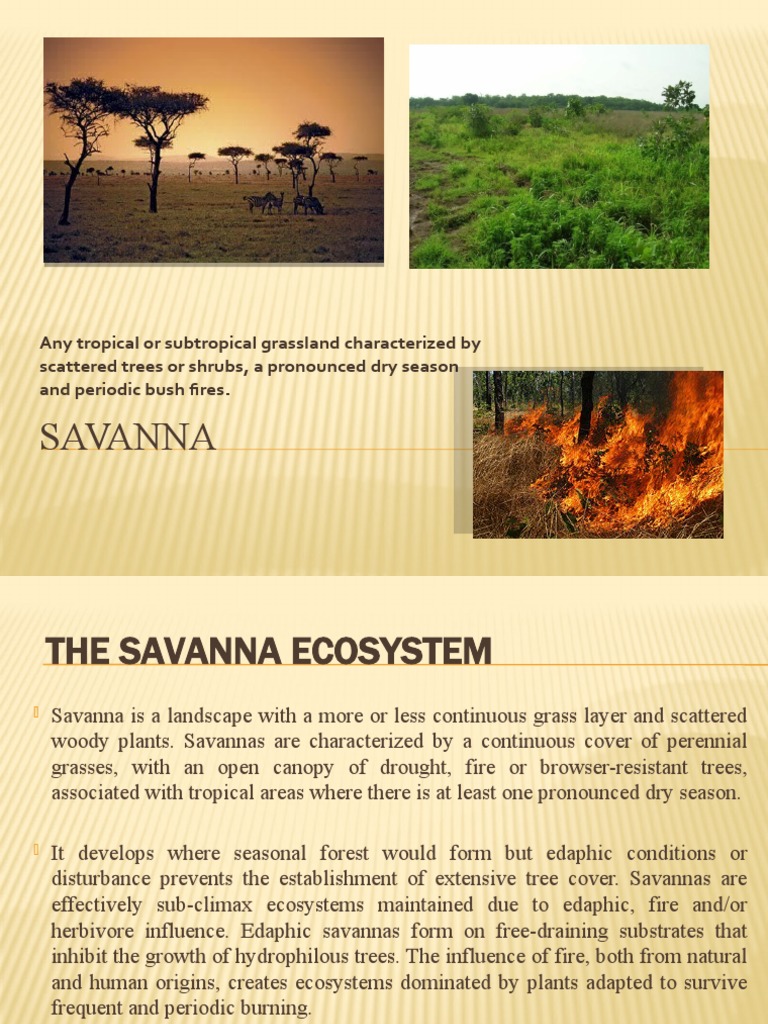 The Savanna and Climate Change