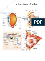 Anatomy and Physiology of The Eye