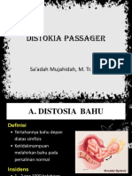 DISTOKIA PASSANGER.pptx
