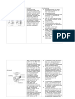 TIPOS DE ORGANIZACIÓN Red y Celular 4.2 Estructuras