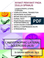 Penyakit Penyakit Pada Medulla Spinalis