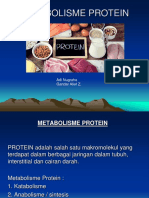 Metabolisme Protein