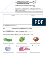 Plan de Mejoramiento de Ciencias Naturales Primer Periodo