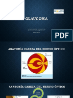 Expo - Glaucoma (Autoguardado)