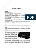 Guia LL y LP PDF