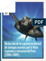 Informetortugas PDF