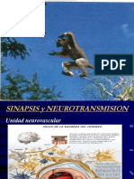 Sinapsis y Neurotransmision 2019 PDF