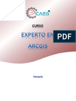 Estructura Del Curso - Experto en ArcGIS