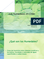 Los Humedales en Chile Final 3 PDF