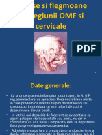 129750010-Abcese-Si-Flegmoane-Ale-Regiunii-OMF-Si-Cervicale.pptx