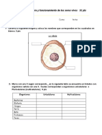 Prueba Unidad 1 Estructura y Funcionamiento de Los Seres Vivos