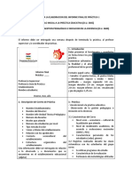 Pauta Elaboracion de Informe Final de Pracica I