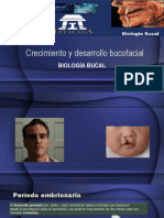 Desarrollo y Crecimiento Craneofacial Biol. Bucal