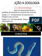 Aula PDF Modulo 1 PDF