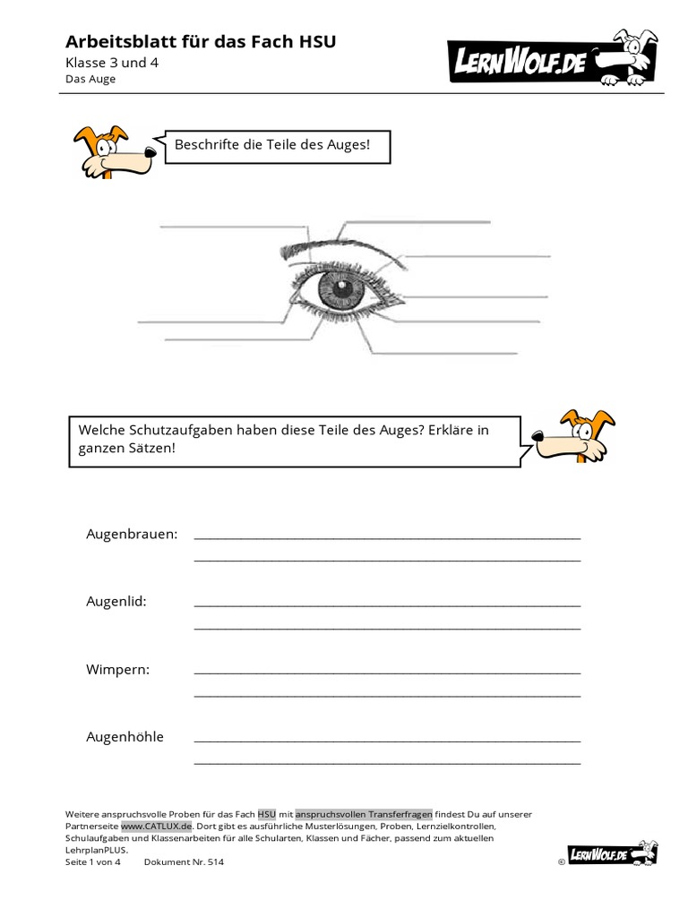 514-Probe-HSU-kostenlos-Grundschule-Auge.pdf