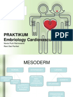 Praktikum Embriologi Kardivaskular