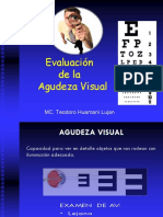 Agudeza visual (1)  okokok.pdf