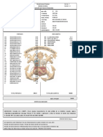 BoletaPensionista PDF
