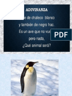 Pinguino Emperador