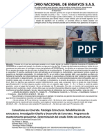 Servicio Determinacion Del Perfil de Carbonatación