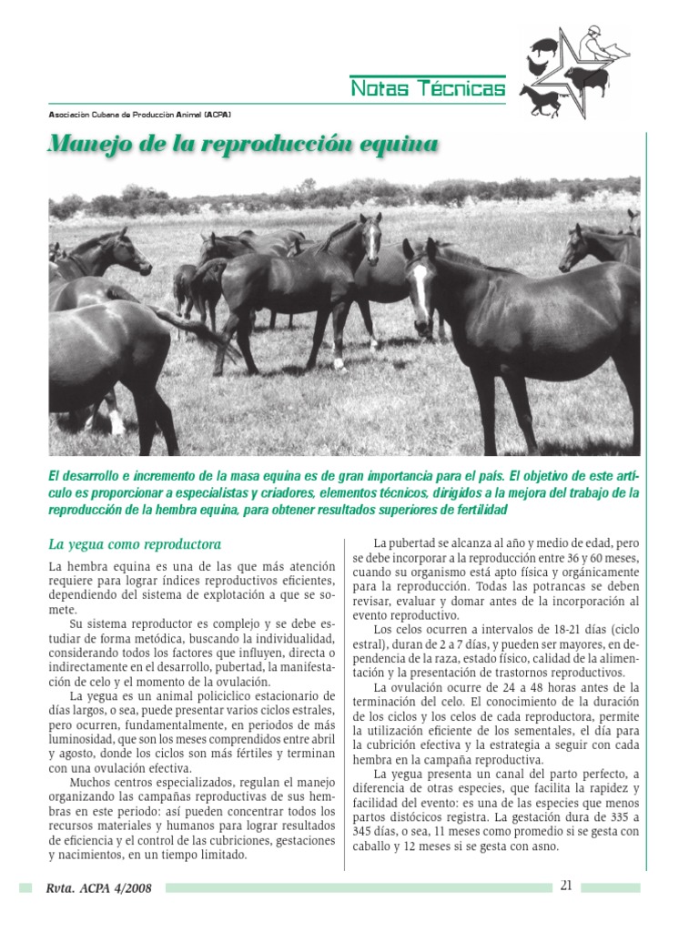 Manejo Reproductivo En Equinos Pdf
