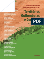 Alfredo Wagner Berno De Almeida & Outros - Territórios Quilombolas e Conflitos.pdf