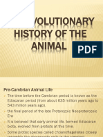 The Evolutionary History of The Animal