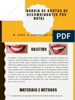 Bioengenharia de brotos dentários pós-natais