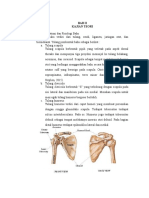 Anatomi fisiologi bahu