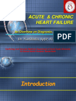 Acute & Chronic Heart Failure: Dr. Nurkhalis, SPJP, Fiha