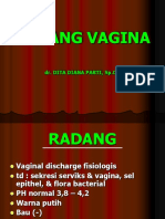 Radang Vagina