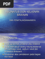 Download Neonatus Dgn Kelainan Bawaan by Ririn Abram SN40314166 doc pdf