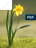 Bases Moleculares de La Floracion PDF