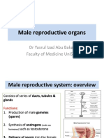 Male Repro 2019