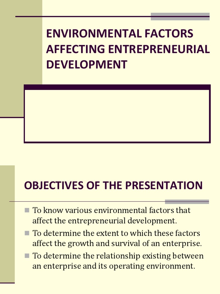 Environmental Factors Affecting Entrepreneurial Development PDF