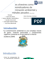 Aves Silvestres Como Bioindicadores de Contaminación Ambiental