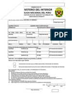 Formato #07 - PNP - Polarizadas PDF