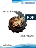 Model Raport Pedonline PDF