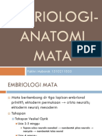 Embriologi Dan Anatomi Mata