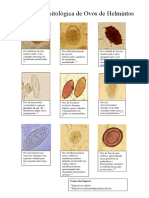 Prancha Parasitológica de Ovos de Helmintos