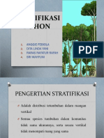 Stratifikasi Pohon dalam Ekosistem Hutan