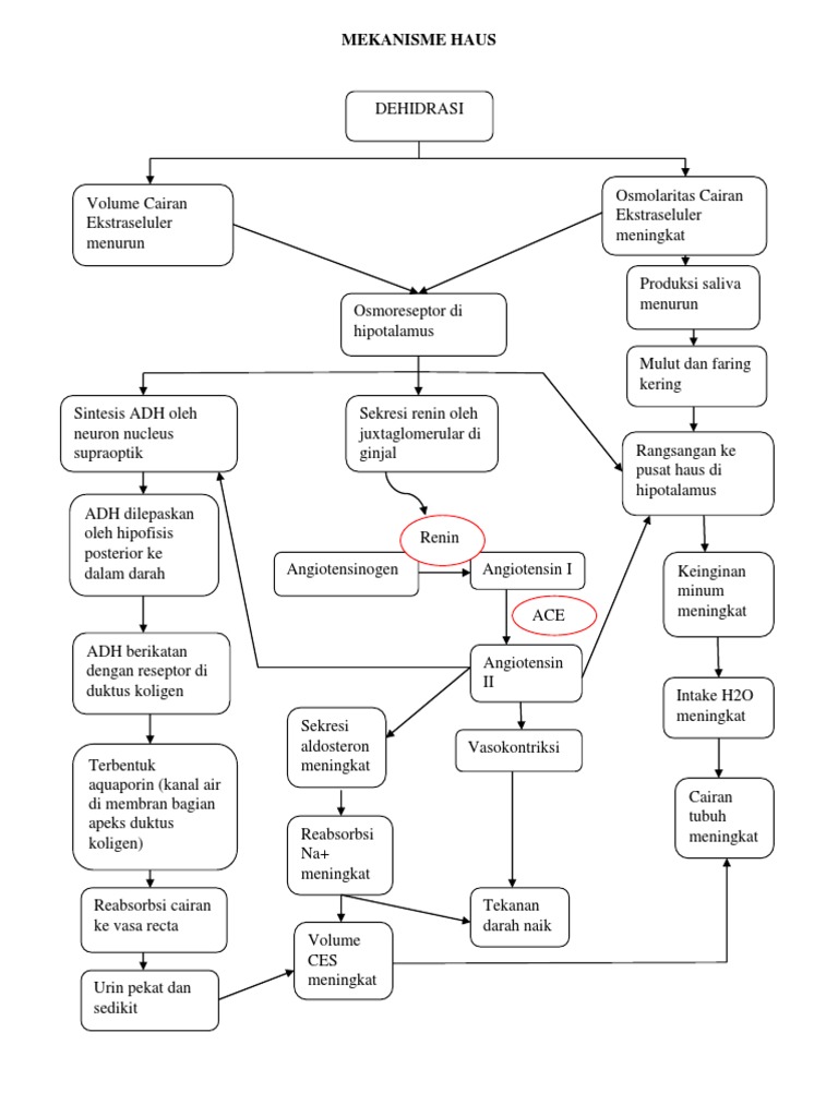 Mekanisme Rasa Haus dan Dehidrasi | PDF