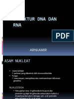 DNA RNA